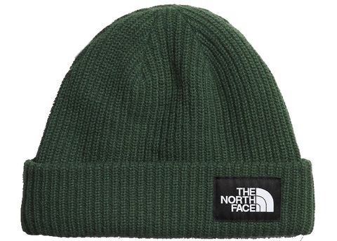 The North Face Salty Lined Beanie Pine Needle