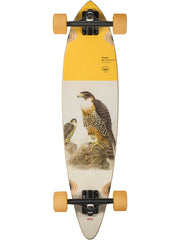 Globe Pintail 34 Falcon Complete Longboard