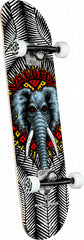 Powell Peralta Vallely Elephant 8.0" White Complete Skateboard