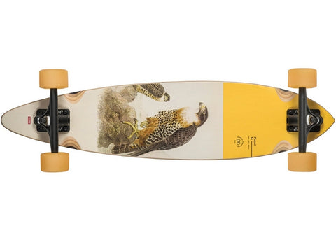 Globe Longboard Complet Pintail 34 Falcon