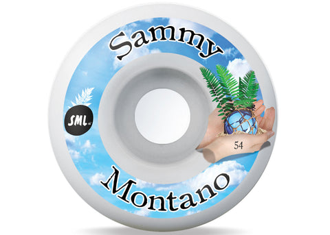 sml. Sammy Montano Tide Pools AG formula 54MM 99A Skateboard Wheels